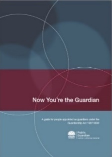 cover of Now you're the Guardian guide